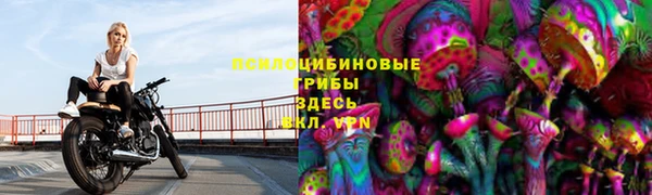 скорость Богородск