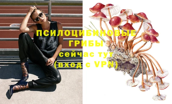 соль курить ск Богородицк