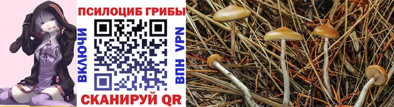 Псилоцибиновые грибы MAGIC MUSHROOMS  Златоуст 